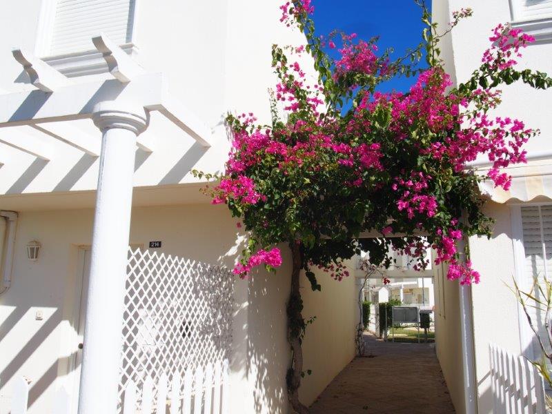 Calle Nuñez de Balboa, Vera Playa, 04621, 3 Rooms Rooms, 1 BathroomBathrooms,Appartement, Te koop,Fuentemar,Calle Nuñez de Balboa,1106