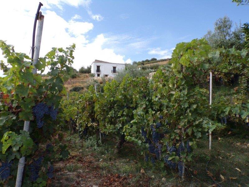Ecologisch landhuis in Canjáyar Almeria te koop